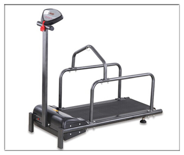 pet treadmill DF-C100 