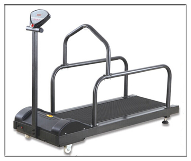 pet treadmill DF-C200  